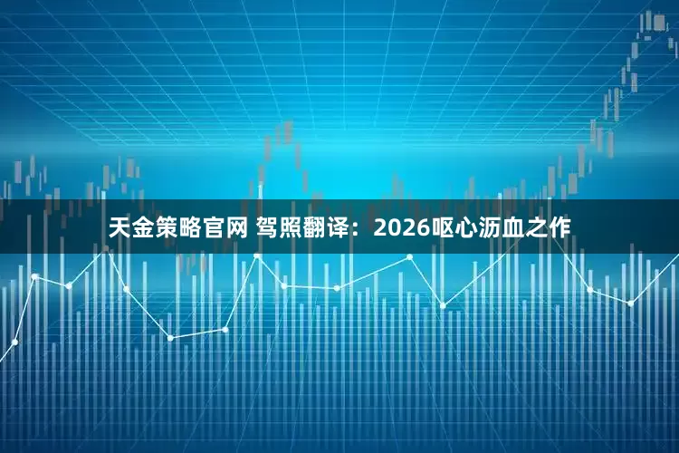 天金策略官网 驾照翻译：2026呕心沥血之作